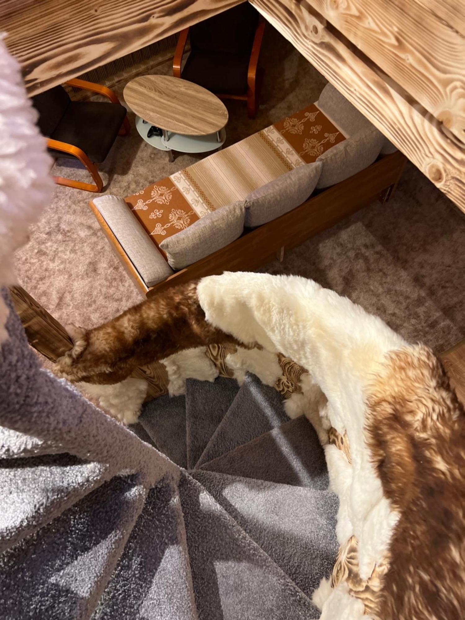 Apartamenty I Domki Taterka Kościelisko Buitenkant foto